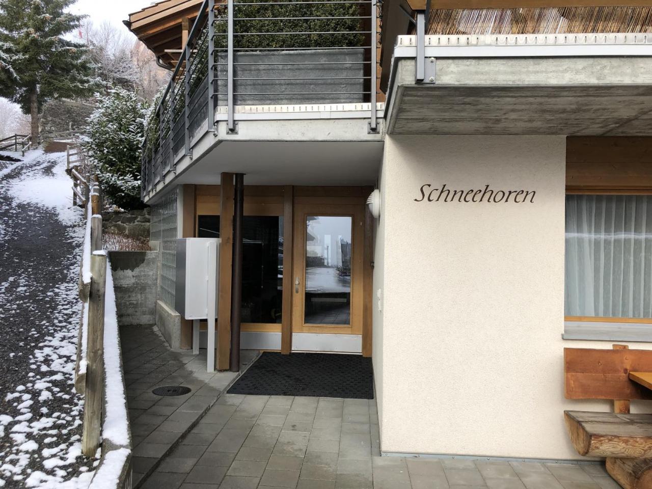 Chalet Schneehoren Penthouse Wengen Eksteriør billede